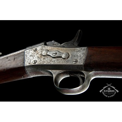 Rolling Block Remington USA, ráže .43 Egyptian, v.č. D 99497