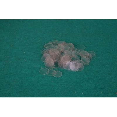 Krytky plastové pro brokové náboje kal. 20