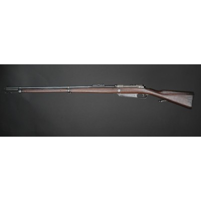 Gew.88 Steyr 1890, v.č. 2669