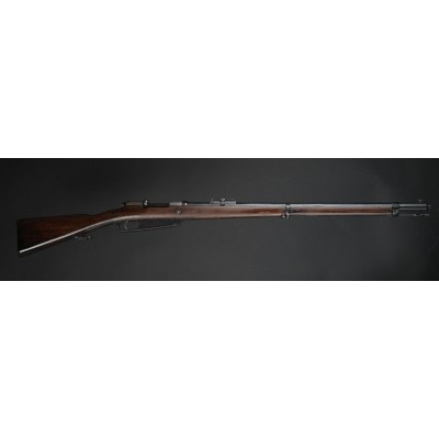 Gew.88 Steyr 1890, v.č. 2669