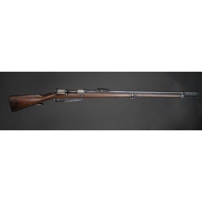 Gew.88 Steyr 1890, v.č. 2669