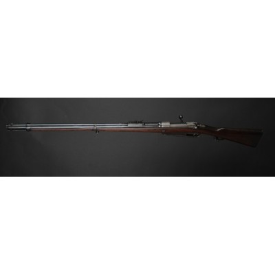 Gew.88 Steyr 1890, v.č. 2669