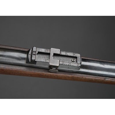 Gew.88 Steyr 1890, v.č. 2669