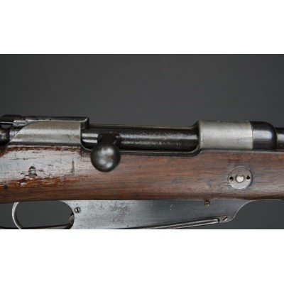 Gew.88 Steyr 1890, v.č. 2669