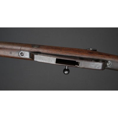 Gew.88 Steyr 1890, v.č. 2669