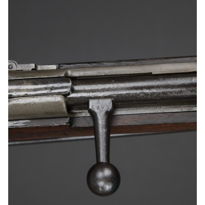 Gew.88 Steyr 1890, v.č. 2669