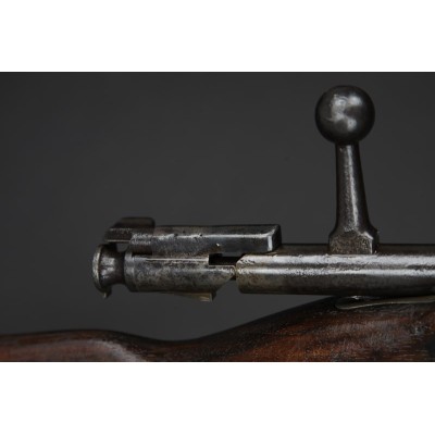 Gew.88 Steyr 1890, v.č. 2669